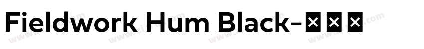 Fieldwork Hum Black字体转换